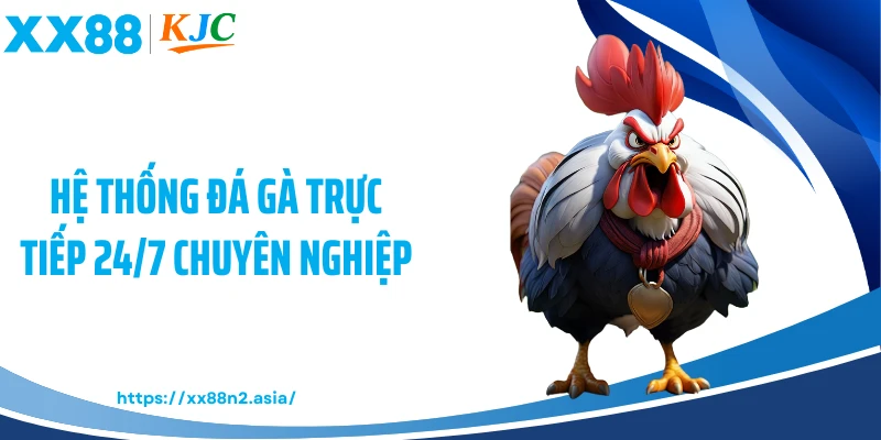 Hệ thống đá gà trực tiếp 24/7 chuyên nghiệp