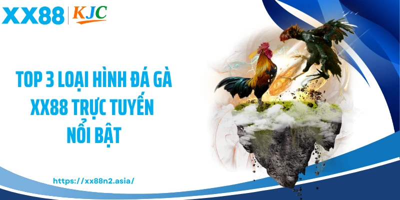 Top 3 loại hình đá gà XX88 trực tuyến nổi bật