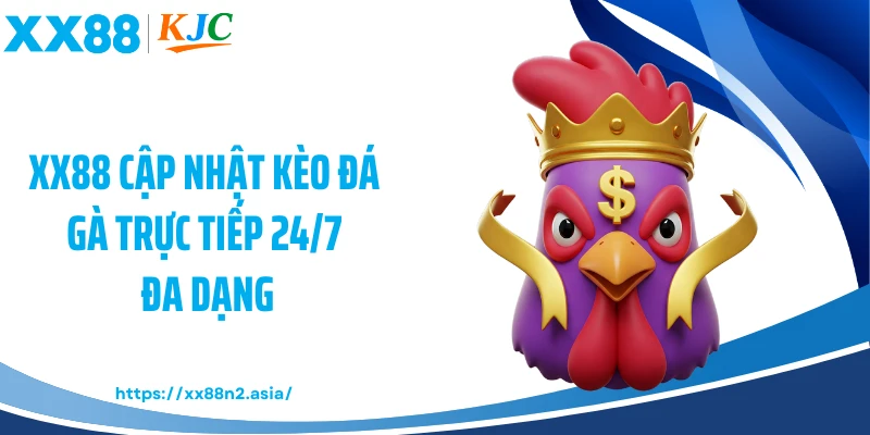XX88 cập nhật kèo đá gà trực tiếp 24/7 đa dạng